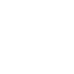 Fly icon